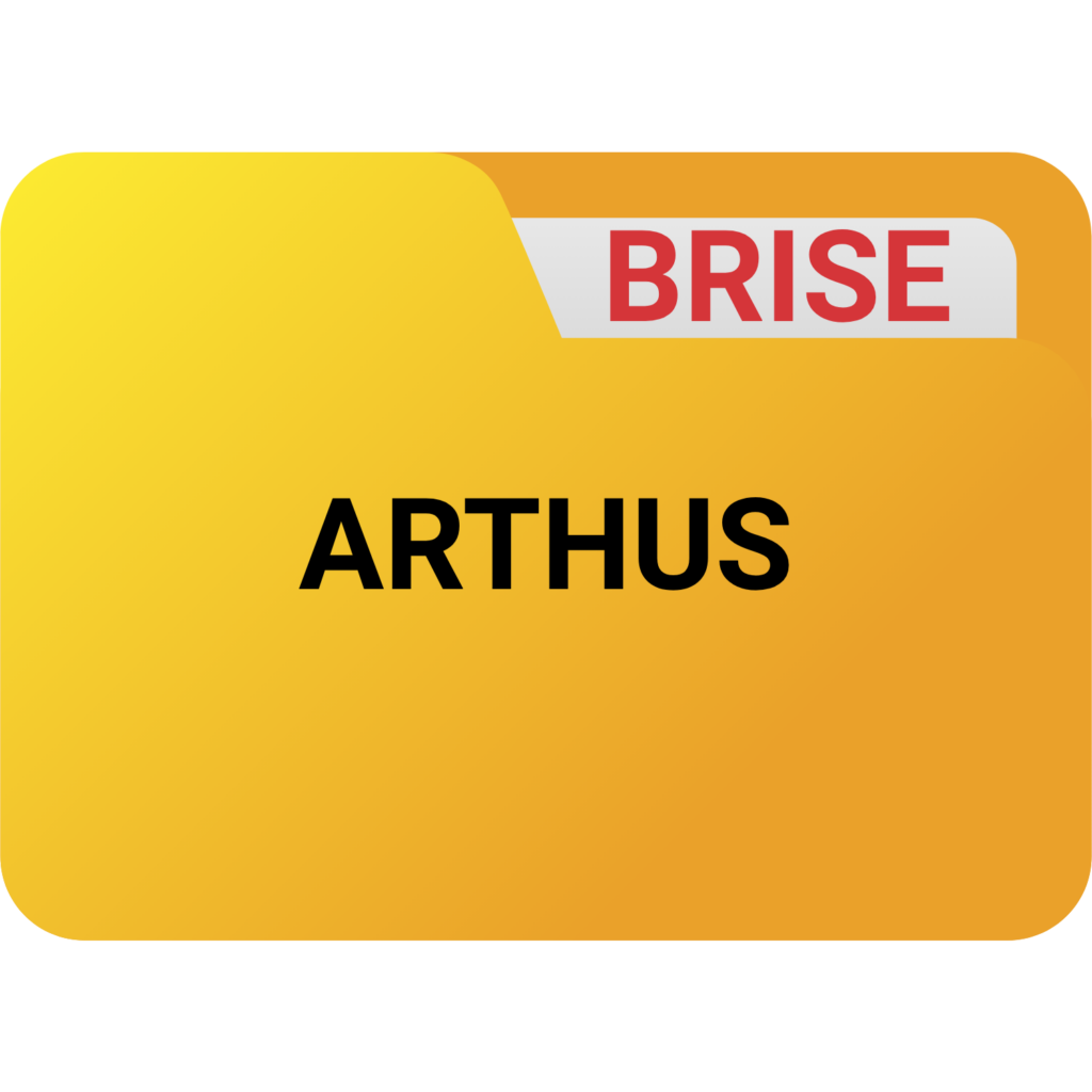 BRISE DE ALUMÍNIO
